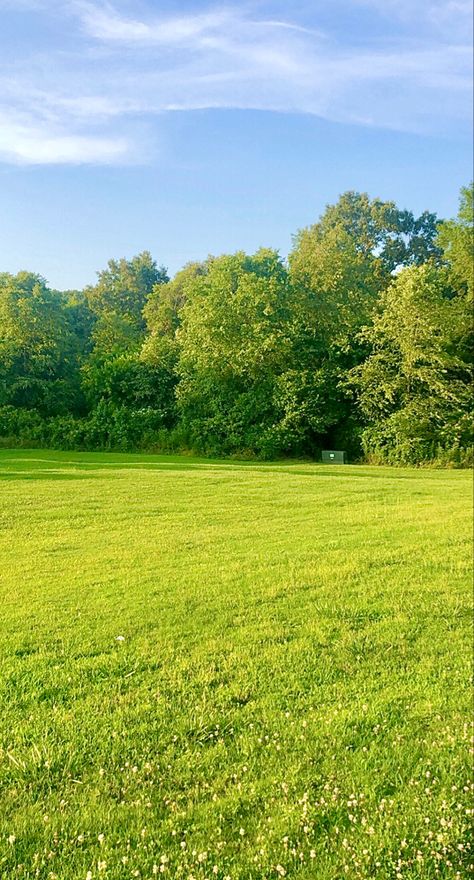 Open Green Space, Pretty Grass Field, Field Background Nature, Background Grass Nature, Grass Asethic, Green Fields Photography, Grass Picture Ideas, Grass Background Aesthetic, Grass Aesthetic Wallpaper