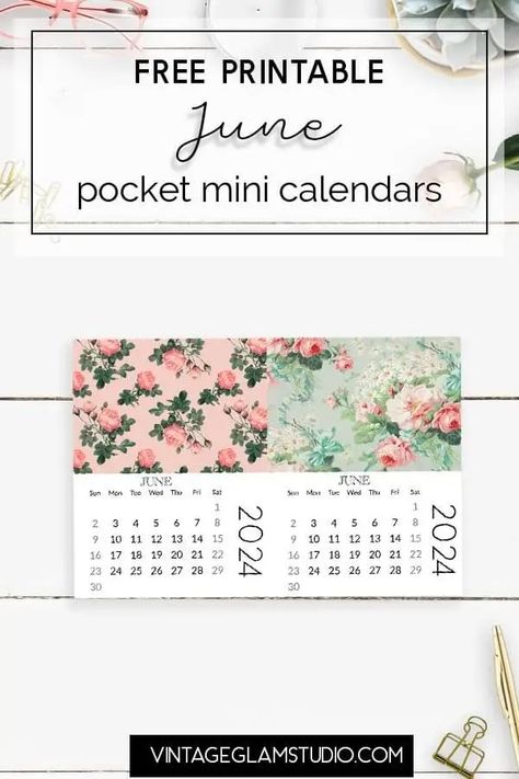 Free June Pocket Scrapbooking Mini Calendars Printable - Planner Freebies, Becky Higgins Project Life, Glam Studio, Calendar June, Month Of June, Mini Calendars, Pocket Scrapbooking, Pocket Planner, Atc Cards