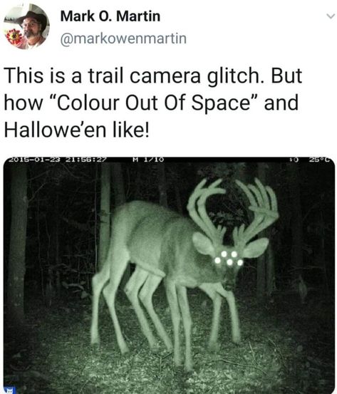 Color Out Of Space, Dungeons And Dragons Memes, Dragon Memes, Out Of Space, What’s Going On, Horror Art, Creature Art, Animal Memes, Tumblr Funny