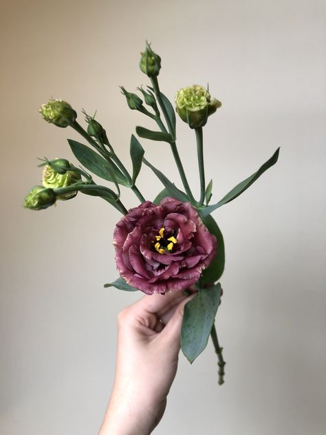 Roseanne Brown Lisianthus, Burgundy Wedding Ceremony, Brown Lisianthus, Greenery Wedding Ceremony, Blush And Burgundy Wedding, Ceremony Installation, Wedding Golden Hour, Wedding Bouquet Fall, Wedding Copper