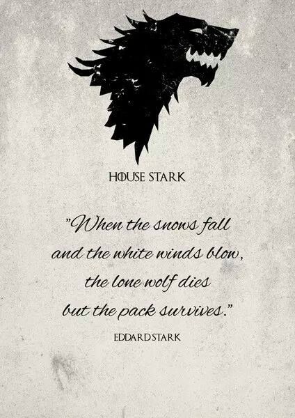 House Stark - The Pack Survives جون سنو, Game Of Thrones Tattoo, Bookshelf Door, Game Of Thrones Party, Game Of Thrones 3, A Game Of Thrones, Got Game Of Thrones, The North Remembers, Game Of Thrones Quotes