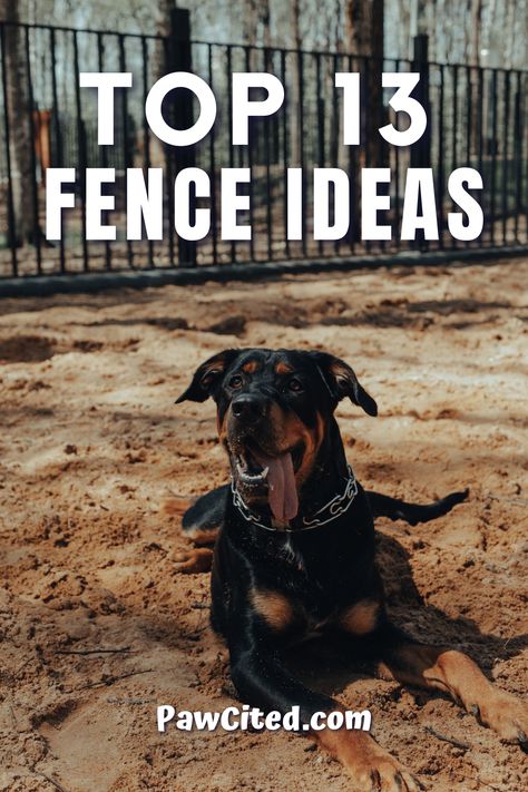 Large Dog Pens Outside, Fence Extension Ideas For Dogs, Dog Fences For Yard, Boundary Fence Ideas, Dog Fence Ideas Backyards, Dog Pen Ideas Outdoor, Cheap Fence Ideas For Dogs, Fence Ideas For Dogs, Dog Yard Ideas