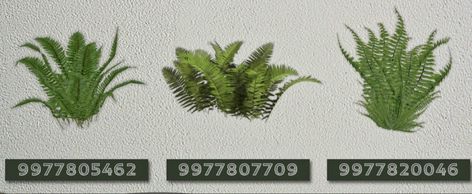 Roblox Bloxburg Plant Decals, Bloxburg Tropical Decals, Palm Tree Codes Bloxburg, Palm Tree Decal Codes Bloxburg, Grass Decal Bloxburg, Bloxburg Palm Tree Decal, Palm Tree Decals Bloxburg, Bloxburg Landscaping, Bloxburg Plants