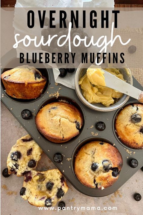 Blueberries Sauce, Benefits Of Sourdough, Sourdough Blueberry Muffins, The Pantry Mama, Pantry Mama, Sourdough Blueberry, Overnight Sourdough, Sourdough Muffins, Sourdough Cinnamon Rolls