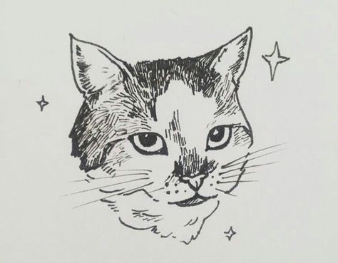 Cat Drawing Semi Realistic, How To Draw A Realistic Cat, Gato Drawing, Cat Drawing Face, Cat Drawing Realistic, Cat Sketch Drawing, Cat Eye Drawing, Cat Drawing Sketches, Cat Hand Drawing