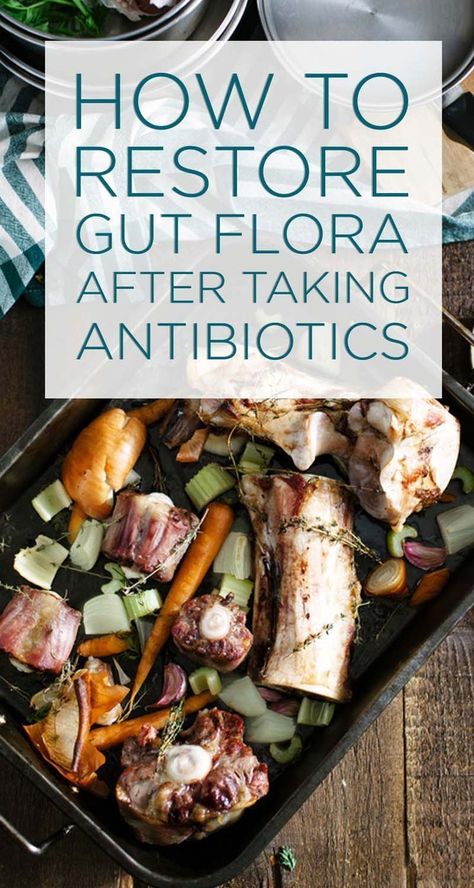 Probiotics Benefits, Fettuccine Alfredo Sauce, Cleanse Gut, Taking Antibiotics, Leaky Gut Diet, Gut Diet, Gut Health Tips, Gut Health Diet, Gut Healing Recipes