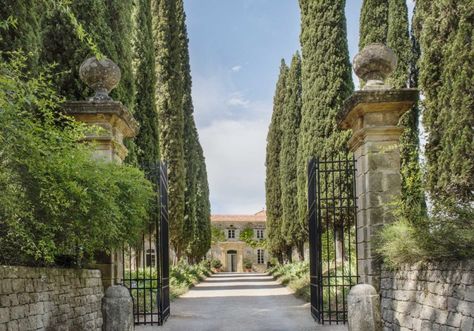 Tree Architecture, Provence House, Oak Tree Wedding, Wedding Walk, Pine Tree Tattoo, Privacy Landscaping, Monday Inspiration, Toscana Italia, Classic Garden