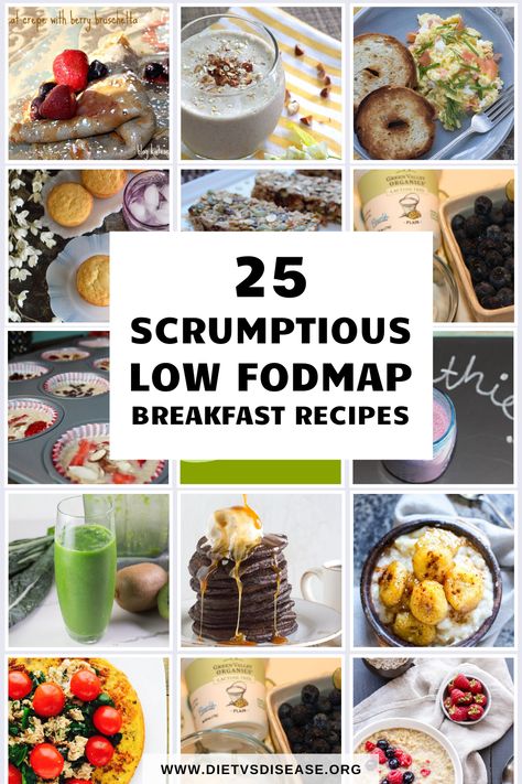 Have you been diagnosed with irritable bowel syndrome (IBS) and need to follow a low FODMAP diet?Are you lacking ideas on what to eat for breakfast?We’ve rounded up 25 scrumptious low FODMAP breakfast recipes to help start your day on the right foot. Digestive Foods, Low Fodmap Recipes Breakfast, Low Fodmap Breakfast Recipes, Fodmap Breakfast Recipes, Low Fodmap Breakfast, Ibs Friendly Food, What To Eat For Breakfast, Fodmap Meal Plan, Fodmap Breakfast