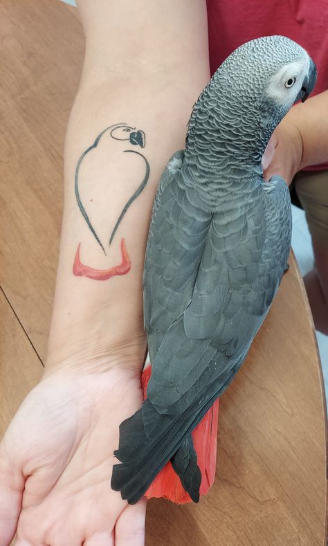 African Grey Tattoo Ideas, African Grey Tattoo, African Grey Parrot Tattoo, Grey Parrot Tattoo, Congo African Grey, Claw Tattoo, Parrot Tattoo, Tattoo Fine Line, Grey Bird