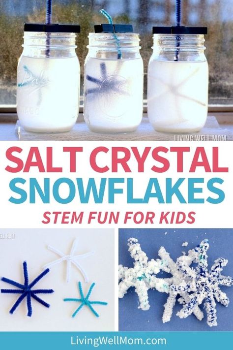 Your kids will LOVE making these salt crystal snowflakes! As an added bonus, they will learn important observation and science skills in this simple STEM activity. Salt Crystal Snowflakes, Snowflakes Science, Simple Stem Activities, Vetenskapliga Experiment, Winter Stem, Easy Science Projects, Winter Science, January Crafts, Kid Science