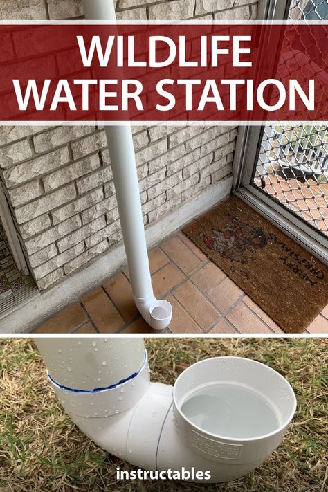 This water station made from a thick PVC pipe is great for watering domestic pets or wildlife. #Instructables #outdoors #backyard #bushfire #feeder #animals #trough Pvc Chicken Feeder Water, Diy Pvc Chicken Waterer, Pvc Rabbit Feeder, Pvc Waterer For Chickens, Chicken Pvc Waterer, Pvc Pipe Chicken Waterer, Easy Chicken Waterer Diy, Wildlife Water Station, Goat Water Trough