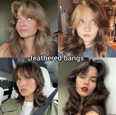 Medium Length Hair In Ponytail, Short Vs Long Layers, Curly Hairstyles Prom, Braided Hairstyles Curly, Prom Hairstyles Medium Length, Long Vs Short Hair, Hair Chart, Pretty Hair Cuts, Feathered Bangs