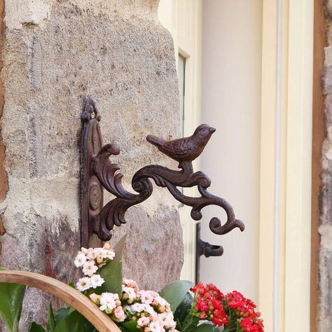 ornate bird bracket by dibor | notonthehighstreet.com Lantern Hooks, Chevron Door, Hanging Basket Brackets, Bird Bath Garden, Hanging Flower Pots, Wicker Baskets Storage, Plant Vase, Bird Sculpture, Hanging Basket