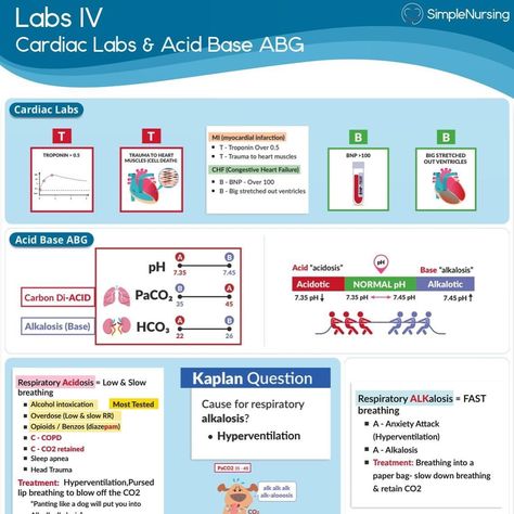 Simple Nursing Study Guides, Pathophysiology Nursing, Simple Nursing, Nursing School Studying Cheat Sheets, Paramedic School, Nursing School Essential, Nursing Study Guide, Medical School Life, Nurse Study Notes