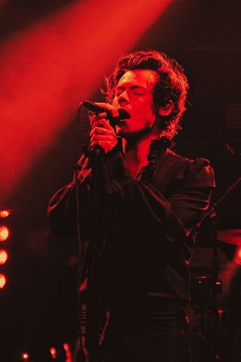 Harry Styles Dark, Details Aesthetic, Harry Styles Poster, Makeup Hacks Beauty Secrets, Harry Styles Aesthetic, Red Pictures, Celebrity Look Alike, Harry Styles Wallpaper, Harry Styles Pictures