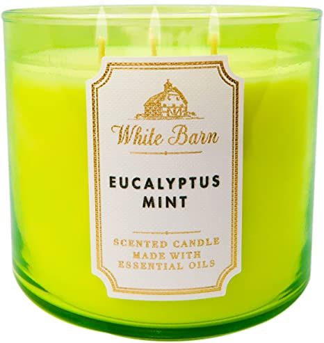 White Barn 3-Wick Scented Candle in Eucalyptus Mint Eucalyptus Mint Candle, Candle Eucalyptus, Butterfly Candle Holder, Candle Luminaries, Best Smelling Candles, Peppermint Sugar, Candle Pedestal, Autumn Candle, Fresh Eucalyptus