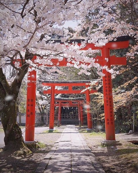 Image Zen, Monte Fuji, Japan Landscape, Torii Gate, Japon Illustration, Japanese Landscape, Japan Aesthetic, Aesthetic Japan, Pretty Places