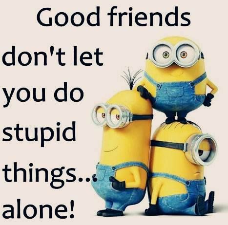 Me And My Bestie Funny, Funny Sarcastic Quotes Humor, Minion Sayings, Minion Stuff, Minion Funny, Mean Quotes, Funny Quotes Wallpaper, Funny Mean, Minion Humor