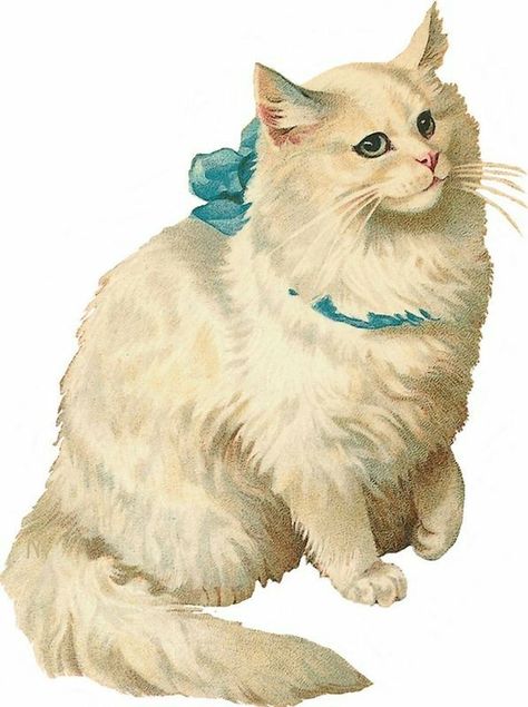 Visuell Identitet, Victorian Scrap, Clip Art Vintage, Vintage Cat, Cat Illustration, Aesthetic Stickers, Cat Drawing, Art Plastique, Vintage Cards