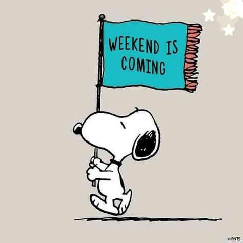 Snoopy Friday, Weekend Is Coming, Snoopy Comics, Snoopy Cartoon, Weekday Quotes, Snoopy Funny, Snoopy Images, Peanuts Cartoon, Snoopy Wallpaper