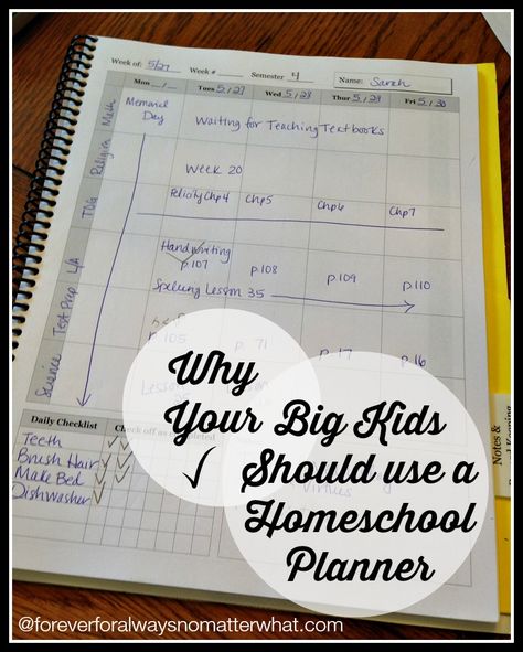 Why Big Kids Should Use A Homeschool Planner Homeschool Planning Printables, Quarterly Planning, Homeschool Lesson Planner, Planning School, Planning Pages, Homeschool Inspiration, School Plan, Homeschool Schedule, Lesson Planner