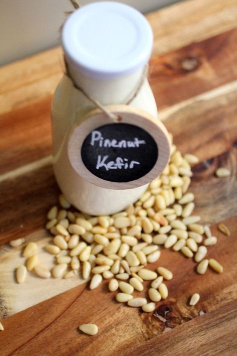 Pine Nut Milk Kefir - Cultured Food Life