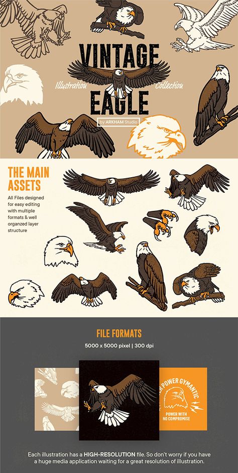 Ad: Vintage Eiger Illustration Collection is a graphic stock that for selling needs so people can use this for personal and commercial use.  Suitable for all graphic needs. Vector elements in different variants. Perfect for DIY, collage art, scrapbooking, stickers, posters, postcards, cloth design, web projects, and more. $11 #Vintage #Illustrations #animals #Eagle Vintage Eagle Illustration, Eagle Illustration Design, Nature Shirt Design, Bald Eagle Illustration, Eagle Cartoon, Eagle Illustration, Falcon Art, Eagle Artwork, Diy Collage