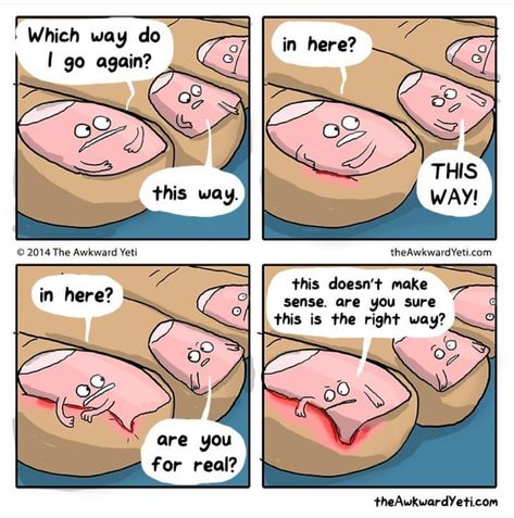 Awkward Yeti, The Awkward Yeti, Funny Cartoons Jokes, 웃긴 사진, Cartoon Jokes, Funny Cartoon, Funny Cartoons, Super Funny, Comic Strip