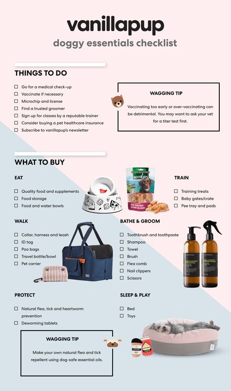 Puppy Bag Essentials, First Dog Essentials, Dog Necessities List, Dog Bag Essentials, Frenchie Essentials, Dog Products Must Have, Dogs Essentials, New Dog Checklist, Puppy Necessities