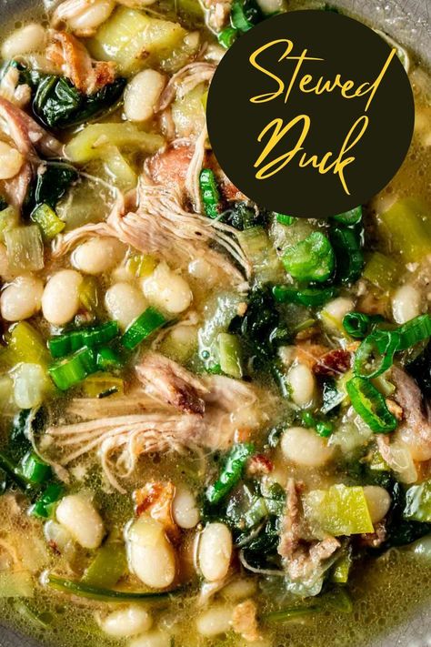 Duck Stew Crockpot, Duck Stew Recipes, Duck Broth, Duck Noodle Soup, Duck Recipe, Duck Soup, Duck Confit, French Recipes, Duck Recipes