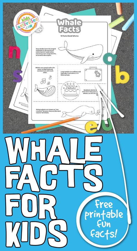 Fun Whale Facts for Kids to Print & Learn |Kids Activities Blog Whale Activities For Preschool, Whales And Dolphins Preschool, Whale Worksheets Free Printable, Whale Activities, Song For A Whale Activities, Whale Facts For Kids, Facts About Whales, Whale Facts, Activities For Preschool