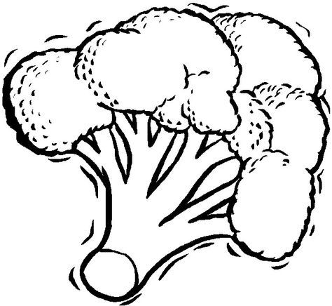 cauliflower coloring for kids free coloring pages Broccoli Vegetable, Vegetable Coloring Pages, Vegetable Drawing, Healthy Broccoli, Food Coloring Pages, Free Coloring Sheets, Clipart Black And White, Free Printable Coloring, Animal Coloring Pages