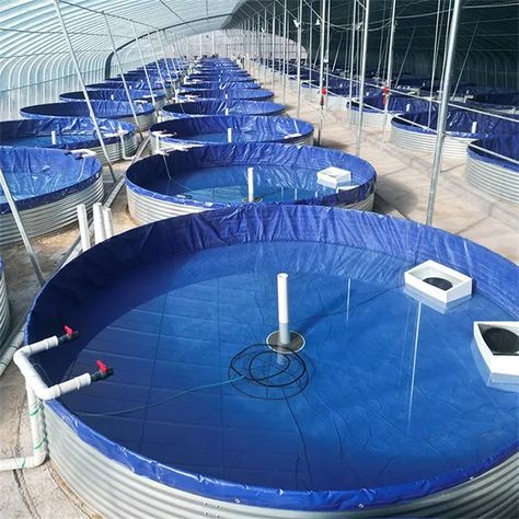 Ras System, Aqua Ponics, Fish Farming Ponds, Fish Tank Aquaponics, Farm Equipment Storage, Tilapia Farming, Round Fish Tank, Aquaculture Fish, Hydroponic Gardening System