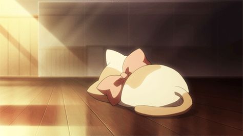 Gold Aesthetic Banner Gif, Kitty Gif Banner, Tan Gif Banner, Light Brown Banner Gif, Anime Cat Gif, Cute Banners Gif, Beige Banner Gif, Gifs Banners For Discord, Kitty Banner