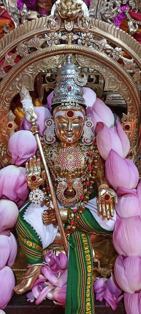 Soora Samharam Murugan, Kukke Subramanya Swamy Hd Images, Lord Subramanya Swamy Images, Tiruttani Murugan Images, God Wallpaper Murugan, Siruvapuri Murugan Images, Surasamharam Murugan, Subramanyam Swamy Photos, Hd Murugan Images