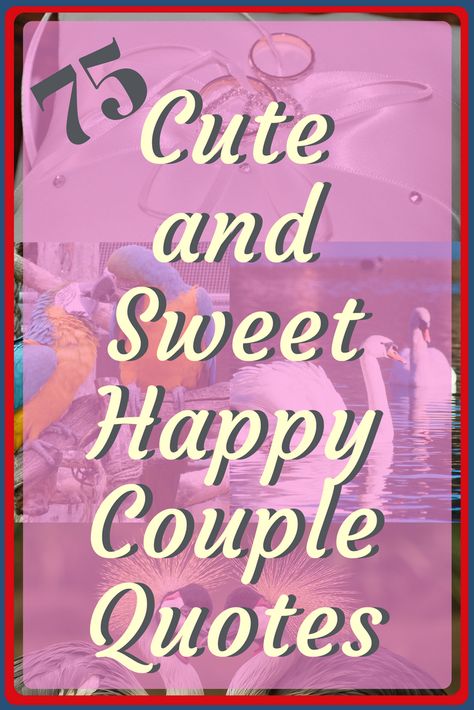 Happiness Couple Quotes, Quotes About Being Happy With Him, Happy With You Quotes, Friend Quotes Distance, Happy Relationship Quotes, Couples Goals Quotes, Couple Captions, Anniversary Quotes For Couple, Sweet Couple Quotes