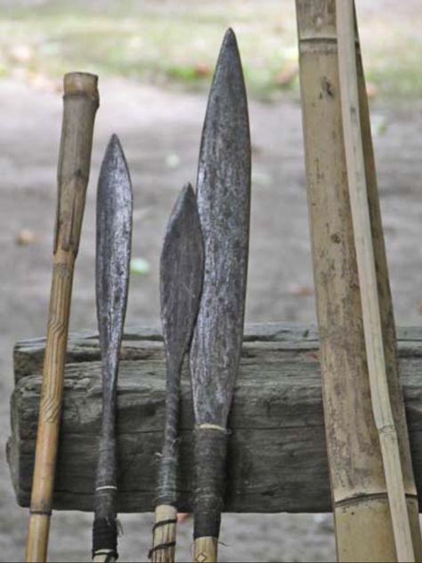 Bows And Arrows, Bowhunting, New Guinea, Reference Images, Archery, Papua New Guinea