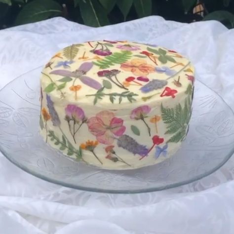 Pressed Flower Cake, Picnic Birthday, Heart Shaped Cakes, Pretty Dessert, Cat Cake, Pretty Birthday Cakes, Cute Birthday Cakes, Just Cakes, Fun Baking Recipes