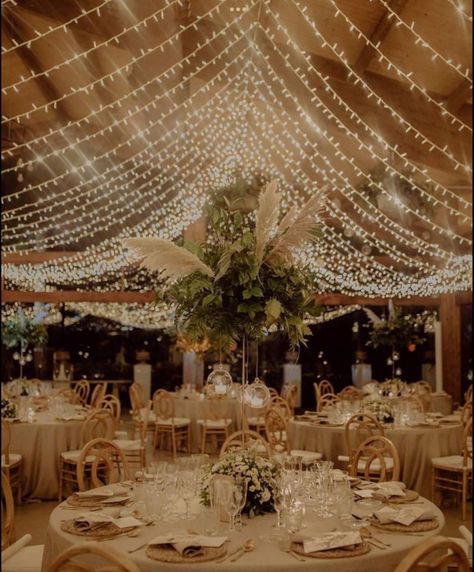 Weeding Decoration Inside, Small Wedding Reception Ideas Indoor, Reception Decorations Indian, Indoor Wedding Reception Decorations, String Light Wedding, Twinkle Lights Wedding, Reception Ceiling, Conservatory Decor, Indoor Wedding Reception