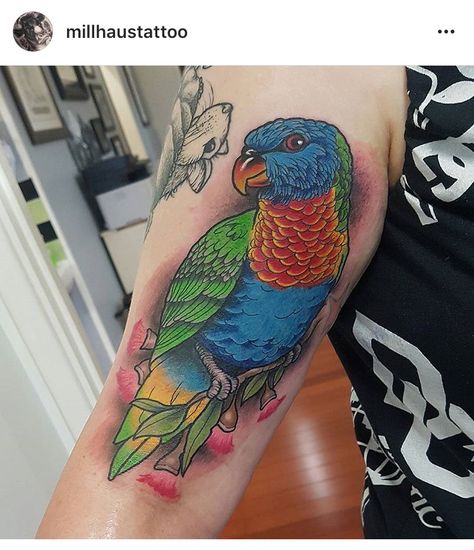 @millhaustattoo on Instagram Lorikeet Tattoo, Parrot Tattoos, Parrot Tattoo, Birds Feathers, Rainbow Lorikeet, Australian Natives, Bird Tattoos, Feather Tattoos, Wonderful Picture