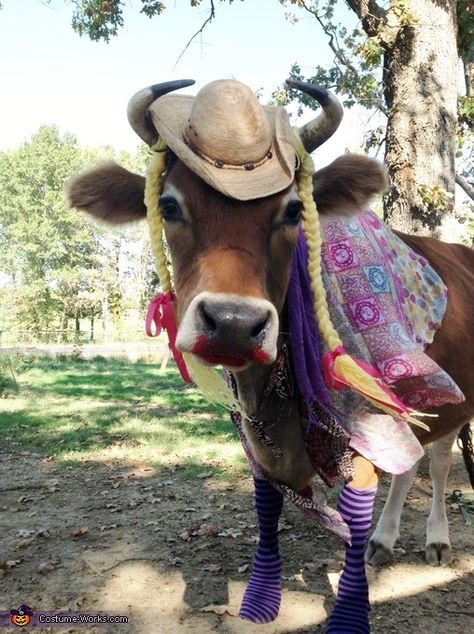 Cow Costume Ideas, Animal Costumes Diy, Diy Cow Costume, Cow Costumes, Farm Animal Costumes, Animal Costume Ideas, Animals In Costumes, Cow Dress, Animals Doing Funny Things