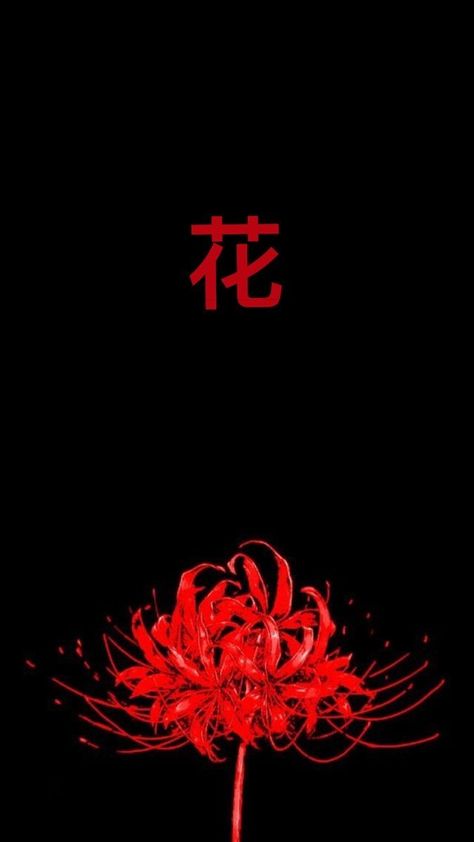 Wallpaper Iphone Cute Anime, Red Spider Lily Wallpaper, Spider Lily Wallpaper, Tokyo Ghoul Flower, Tato Phoenix, Japanese Wallpaper, Japanese Tattoo Symbols, Whatsapp Wallpapers Hd, Japanese Wallpaper Iphone