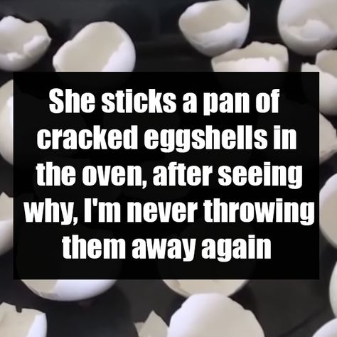 She sticks a pan of cracked eggshells in the oven, after seeing why, I'm never throwing them away again Drying Eggshells In Oven, Baking Egg Shells In The Oven, Baked Eggs, Egg Shells, Baking Sheet, The Oven, On A Budget, Vitamins, Egg