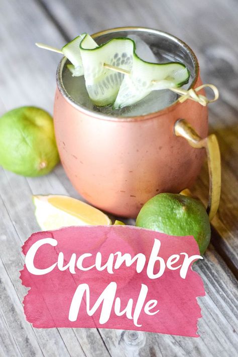 Cucumber Mule Cocktail - An easy and refreshing cocktail made using Hanson Organic Cucumber Vodka + just two other ingredients! | Cucumber Mule Recipe - Cucumber Vodka Mule - Cucumber Moscow Mule - Hanson Organic Vodka - Hanson Vodka Cucumber Mule Recipe, Cucumber Vodka Drinks Cocktail Recipes, Camping Beverages, Cucumber Moscow Mule Recipe, Mule Bar, Cucumber Vodka Drinks, Vodka Mule, Recipe Cucumber, Pumpkin Yogurt