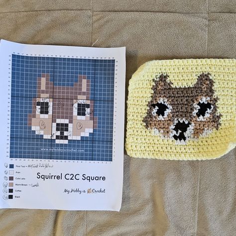 Animal Crossing Granny Square, Crochet Cat Granny Square Pattern, Cat Crochet Granny Square, Crochet Cat Granny Square, Crochet Pixle Grids, Crochet Squirrel, Crochet Grid Patterns, Flower Snowflake, Crochet Grid