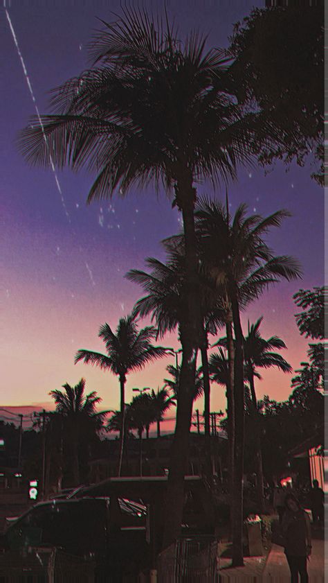 #vhs #aesthetic #vsco 90s Vibes Aesthetic Wallpaper, Vhs Aesthetic Pictures, 80s Iphone Wallpaper, Vhs Wallpaper, 2000s Vibes Wallpaper, Vhs Aesthetic, Tropical Aesthetic, Collection Photography, Wall Pics