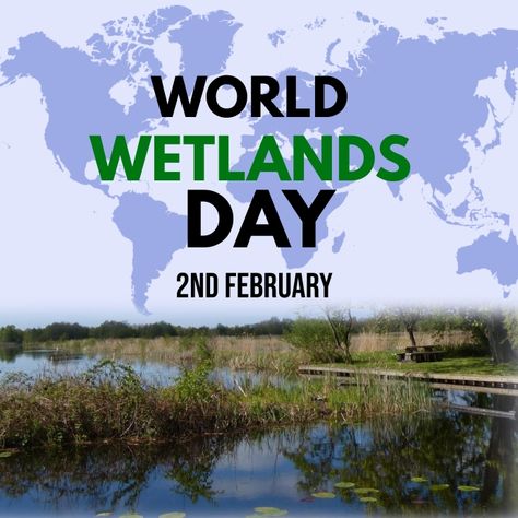 World Wetlands Day, Blog Sites, Free Downloads, High Quality Design, Poster Template, Easy To Use, Poster Design, Stock Photos, Graphic Design