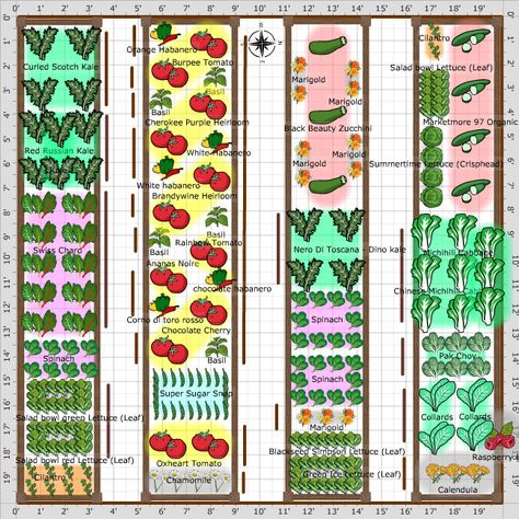 Garden Plan - 20x20 Garden Vegetable Garden Layout Design, Vegetable Garden Layout, Garden Planning Layout, Vegetable Garden Planner, Red Russian, Small Vegetable Gardens, Backyard Garden Layout, Garden Layout Vegetable, Vegetable Garden Planning