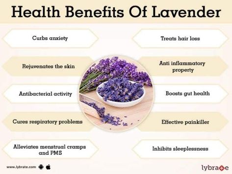 Lavender Towels, Benefits Of Lavender Oil, Lavender Oil Benefits, Benefits Of Lavender, Gastric Juice, Medicinal Tea, Lavender Benefits, Lavender Plant, Menstrual Cramps