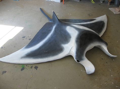 Manta Ray costume - includes basic directions on how to make it Manta Ray Costume, Angler Fish Costume, Mermaid Costume Makeup, Ray Costume, Cardboard Art Sculpture, Giant Manta, Sea Costume, Under The Sea Crafts, Street Theatre